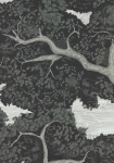Eternal Oak ebony/first light - tapet - 10,05x0,686 m - fra Harlequin