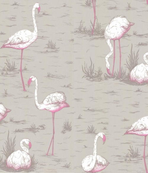Flamingos grå/lyserød - tapet - 10,05x0,53 m - fra Cole & Son 