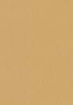 Architects Paper 377501 beige - tapet - 10.05x0.53m - fra Architects Paper