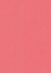 Architects Paper 377502 rød - tapet - 10.05x0.53m - fra Architects Paper