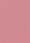 Jungle Chic 377025 pink - tapet - 10.05x0.53m - fra Architects Paper