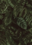 Amazon fern - tapet - 10x0.50m - fra Rebel Walls