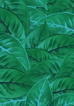 Jungle Leaves - fototapet - 250x200 cm - fra Komar 