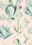 Cactus Rose Panel - fototapet - 250x100 cm - fra Komar 