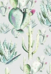 Cactus Grey Panel - fototapet - 250x100 cm - fra Komar 