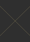 Graphic lines sort/guld - tapet - 10,05x0,53 m - fra ESTA HOME