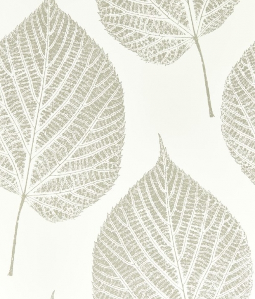 Leaf lys silver - tapet - 10.05x0.52m - fra Harlequin