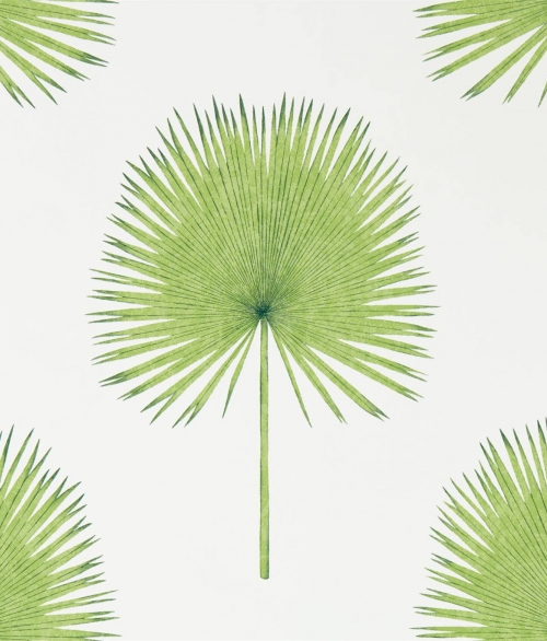 Fan Palm grøn - tapet - 10,05x0,52 m - fra Sanderson 