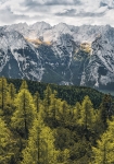 Wild Dolomites - fototapet - 100x200 cm - fra Komar 