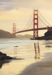 Golden Gate - fototapet - 250x400 cm - fra Komar 