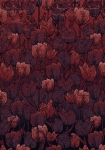 Tulipe - fototapet - 280x400 cm - fra Komar 