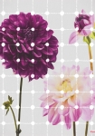 Flowers & Dots - fototapet - 250x200 cm - fra Komar 