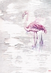 Pink Flamingo - fototapet - 250x200 cm - fra Komar 