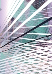 Space Grid Spring - fototapet - 250x400 cm - fra Komar 
