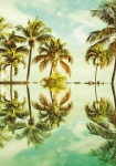 Key West - fototapet - 250x400 cm - fra Komar 