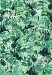 Evergreen - fototapet - 250x200 cm - fra Komar 