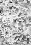 Shades Black and White - fototapet - 250x400 cm - fra Komar 