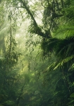 Tropenwelten - fototapet - 250x500 cm - fra Komar 
