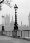 London Fog - fototapet - 366x254 cm - fra W+G 