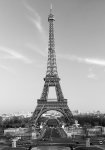 La Tour Eiffel - fototapet - 254x183 cm - fra W+G