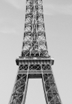 La Tour Eiffel - fototapet - 254x183 cm - fra W+G