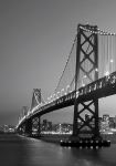 San Francisco Skyline grå - fototapet - 254x183 cm - fra W+G