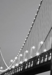 San Francisco Skyline grå - fototapet - 254x183 cm - fra W+G
