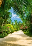 Tropical Pathway - fototapet - 254x183 cm - fra W+G 