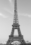 530 La Tour Eiffel