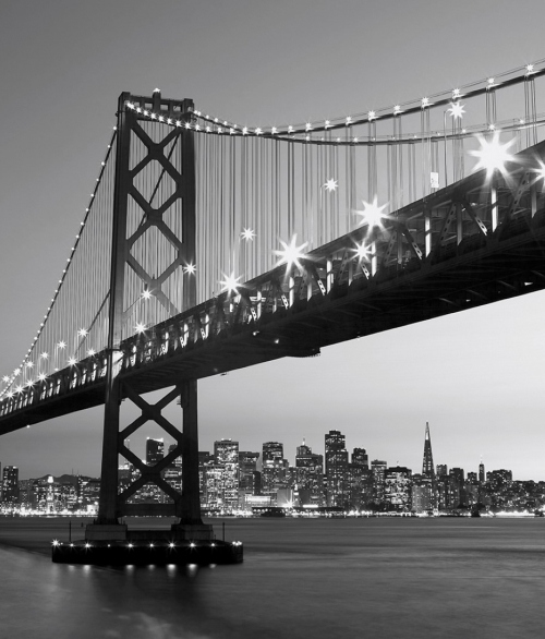 San Francisco Skyline grå - fototapet - 254x366 cm - fra W+G