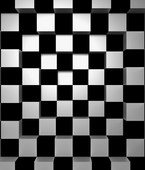 Black and white  - fototapet - 254x366 cm - fra W+G