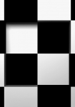 Black and white  - fototapet - 254x366 cm - fra W+G