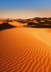 Desert Landscape - fototapet - 254x366 cm - fra W+G 