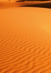 Desert Landscape - fototapet - 254x366 cm - fra W+G 