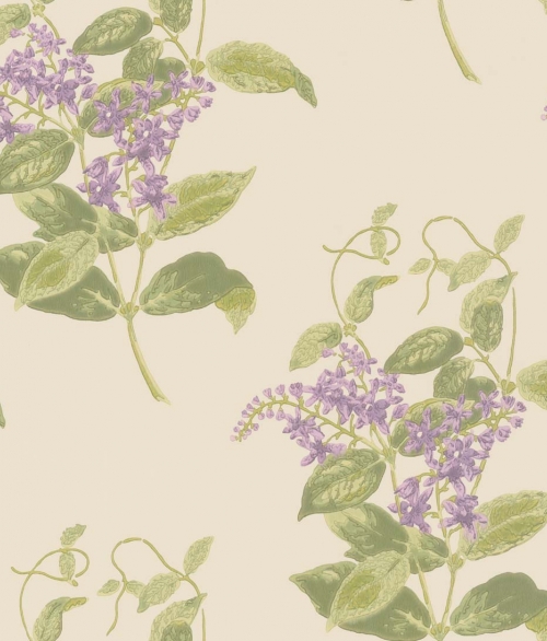 Archive Anthology lilla blomster - tapet - 10x0,52 m - fra Cole & Son