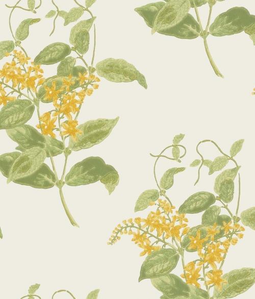 Archive Anthology gule blomster - tapet - 10x0,52 m - fra Cole & Son