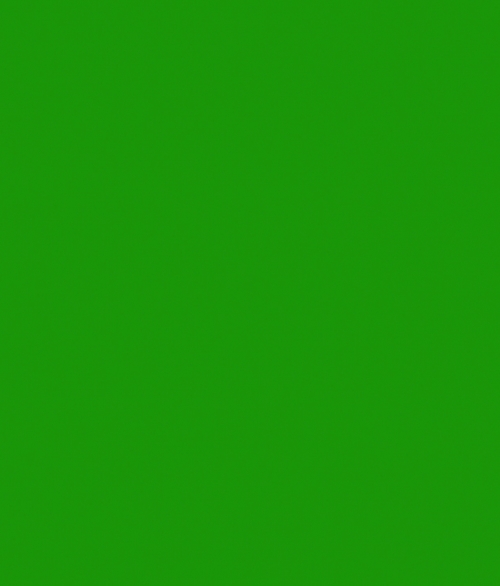 Grøn Blank - selvklæbende folie - 45x200 cm - fra Tapetcompagniet 