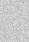 closeup-tapet-grå-blade-på-en-grå-baggrund