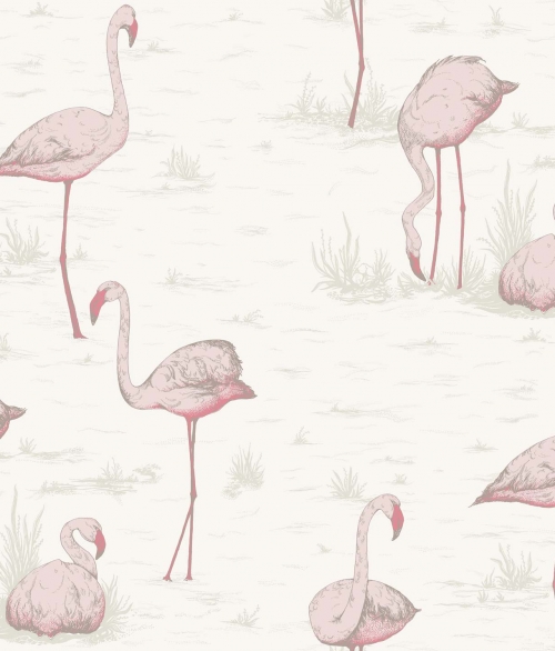 Flamingos hvid - tapet - 10x0,53 m - fra Cole & Son 