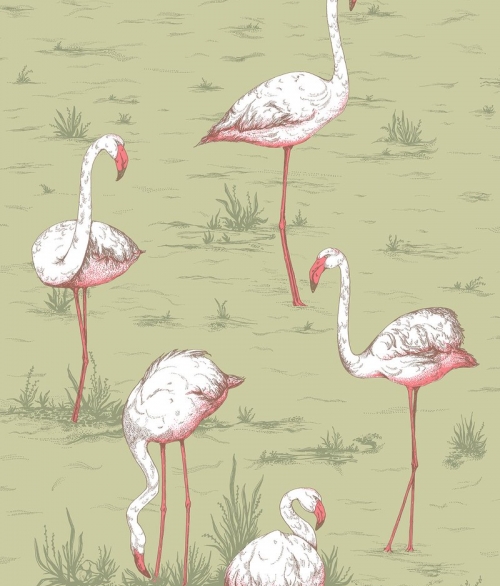 Flamingos grøn - tapet - 10x0,53 m - fra Cole & Son 
