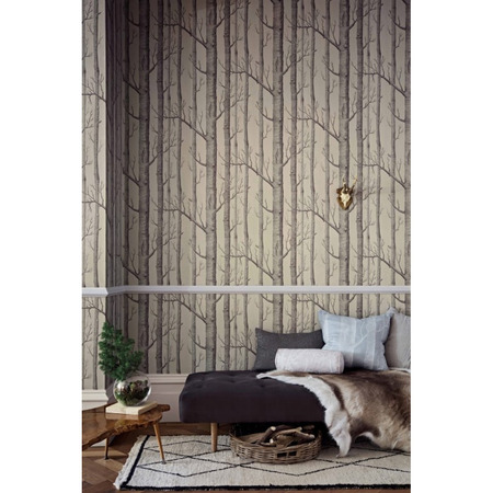 OUTLET: Woods grå fra Cole & Son